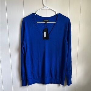 Men's Blue V-Neck 100 Merino Wool Sweater